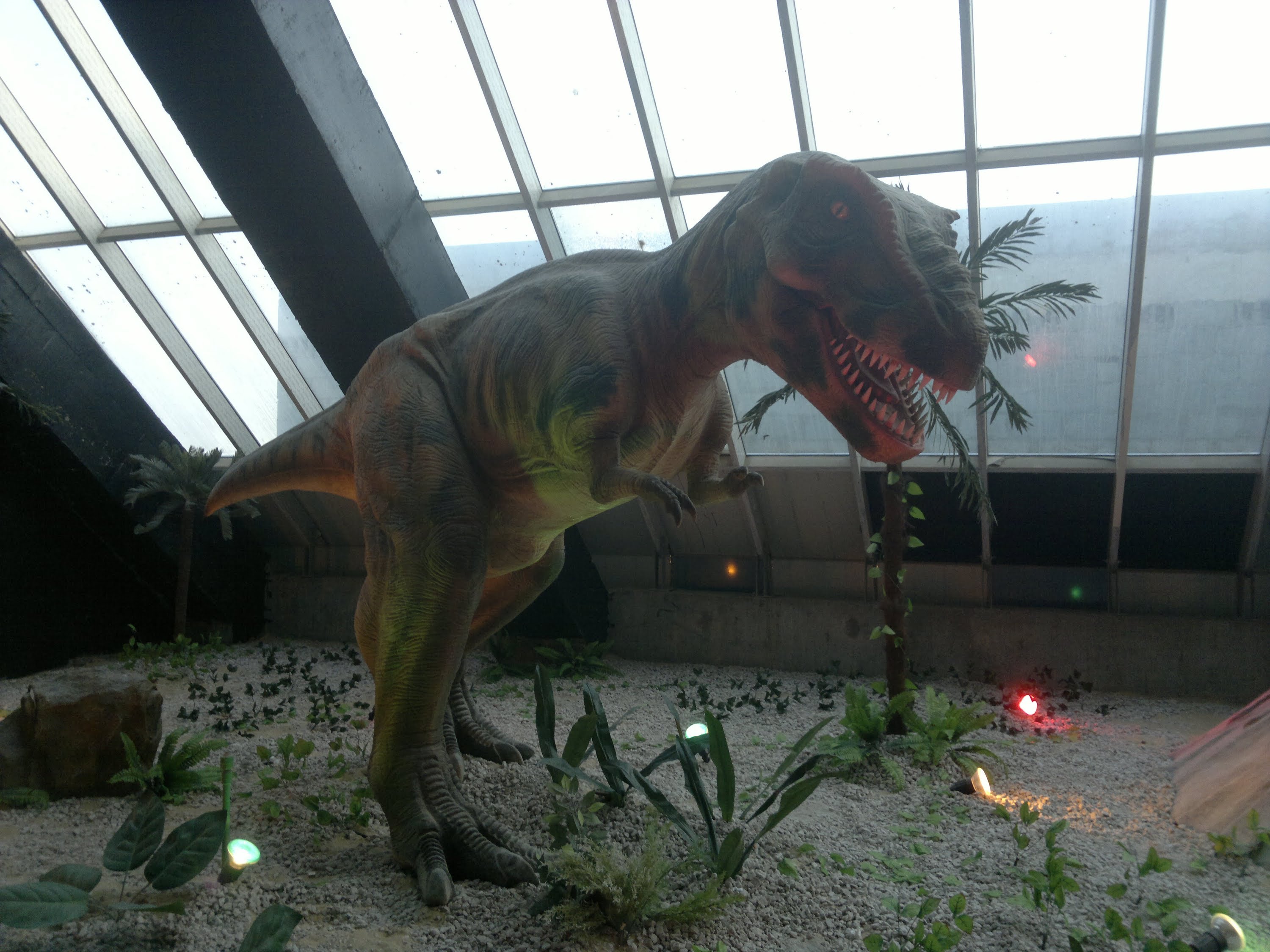الرياض في معرض الديناصورات معرض الديناصورات