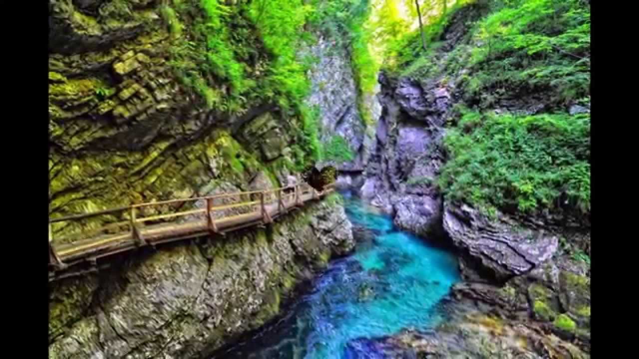 أسئلة واجوبة تهمك عند السفر إلى سلوفينيا – سفاري نت