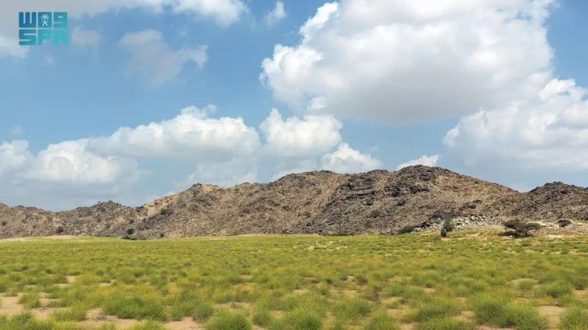 سهول تهامة عسير الخضراء.. مقوّمات طبيعية تدعم السياحة البيئية 