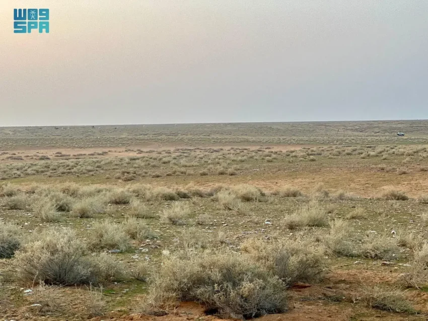 منطقة السبعين جنوب رفحاء.. وجهة شتوية تستقطب الأهالي والزوار 