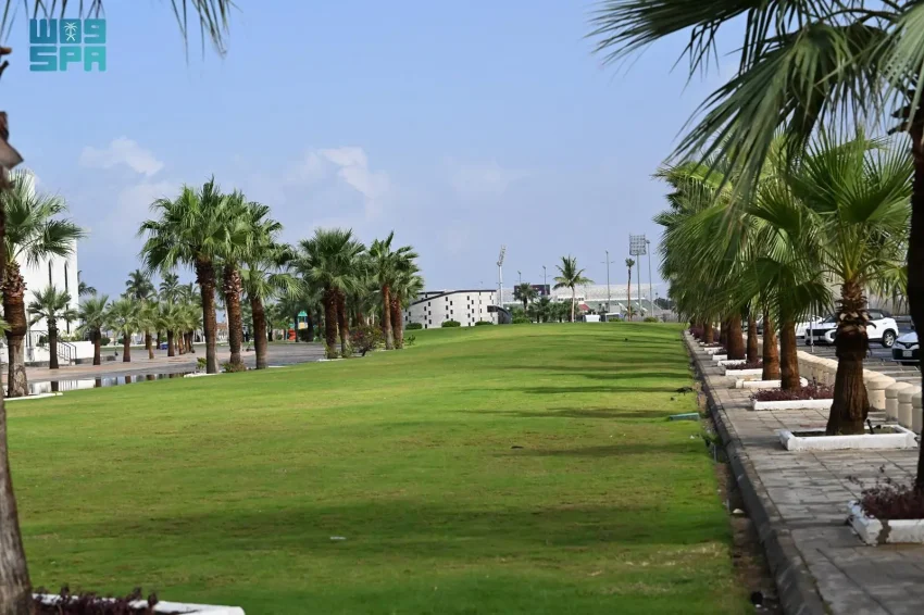 واجهة المانجروف بمدينة جيزان .. أيقونة ساحلية جديدة تُعزِّز جاذبية جازان السياحية 